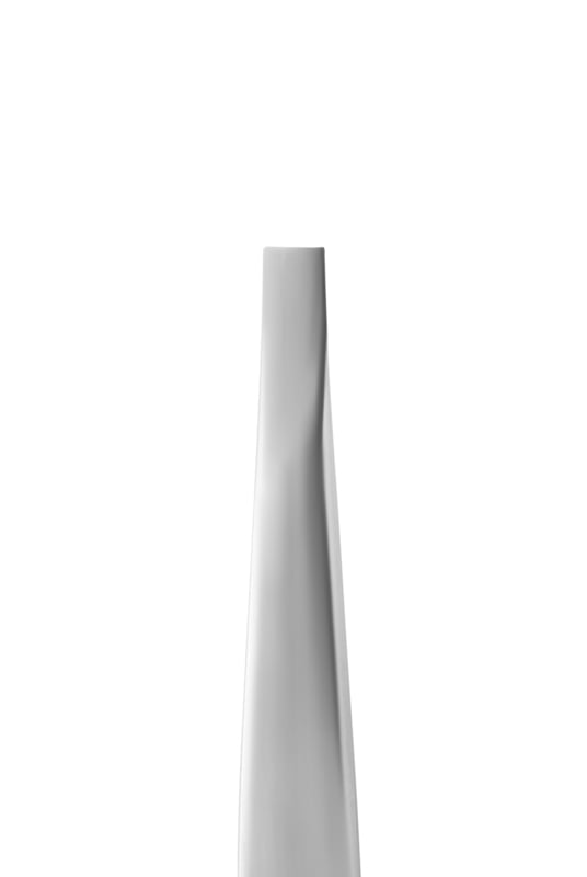 Staleks Pro Eyebrow Tweezers Expert 10 Type 2 Small Straight (TE-10/2)