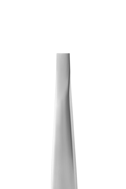 Staleks Pro Eyebrow Tweezers Expert 10 Type 1 Wide Straight (TE-10/1)